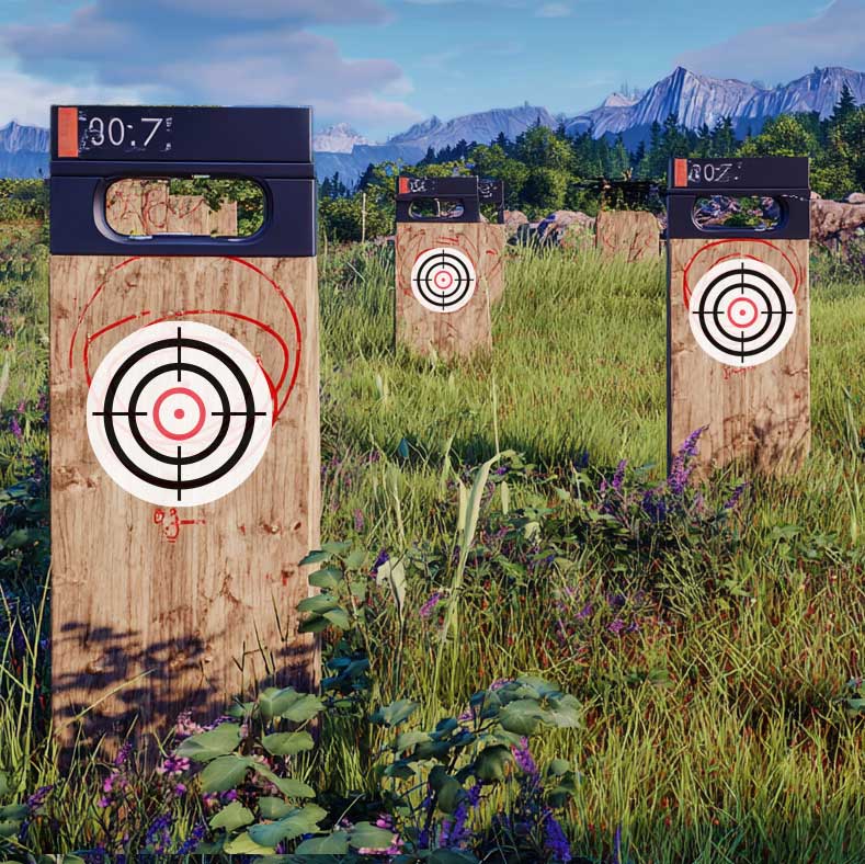 SimWay target practice